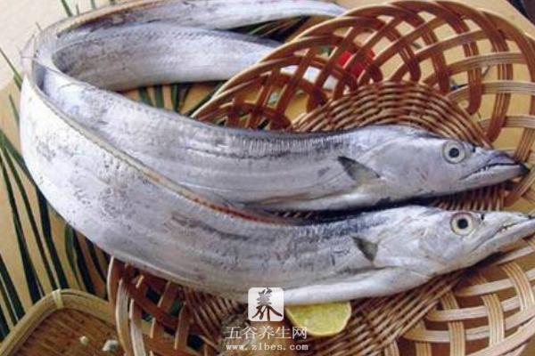 帶魚怎么炸好吃 帶魚不炸直接燉行嗎