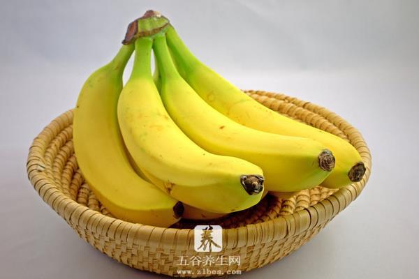 芭蕉和米蕉的区别是什么 芭蕉和香蕉的区别