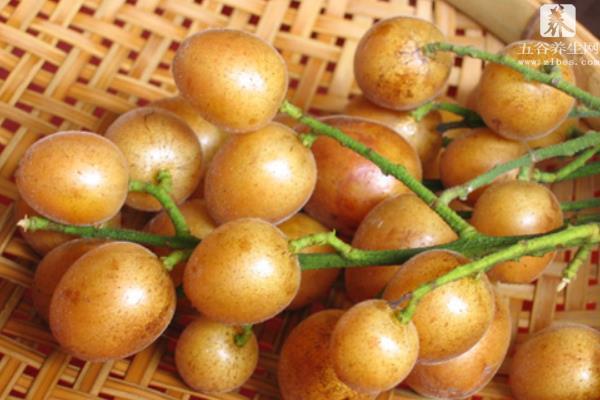 黄皮果几月份成熟 黄皮果是什么季节的水果