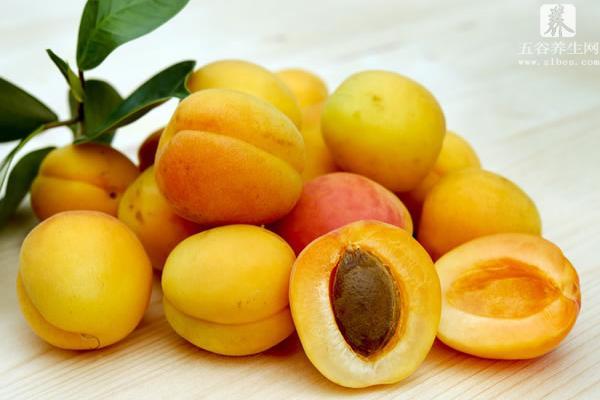 杏子什么时候成熟（几月） 杏子是什么季节的水果
