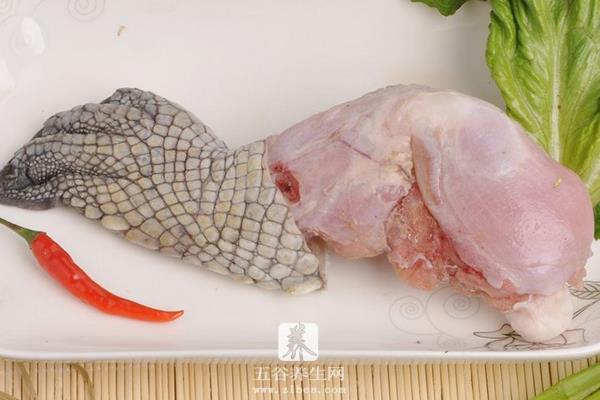 鳄鱼能吃吗 吃鳄鱼肉犯法吗