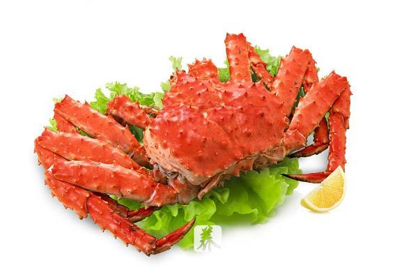 面包蟹和帝王蟹的区别是什么 面包蟹和帝王蟹哪个好