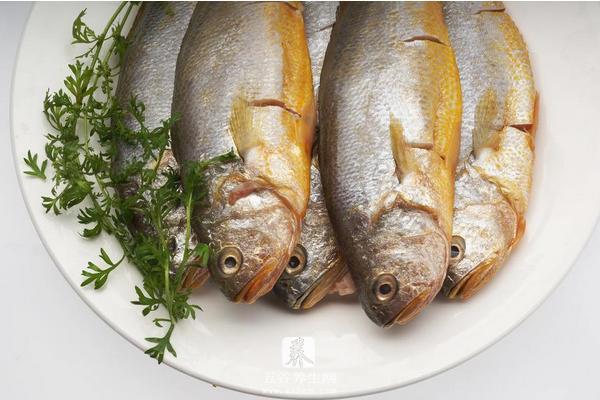 黄唇鱼和大黄鱼的区别是什么 黄唇鱼的营养价值