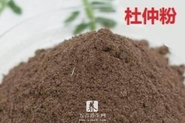 杜仲粉的功效与作用及禁忌 杜仲粉怎么吃