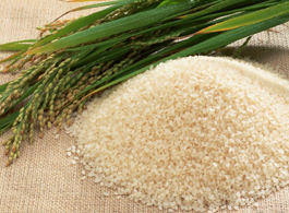 大米的介绍  
 大米的营养价值