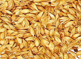麦芽营养分析  
 食疗方