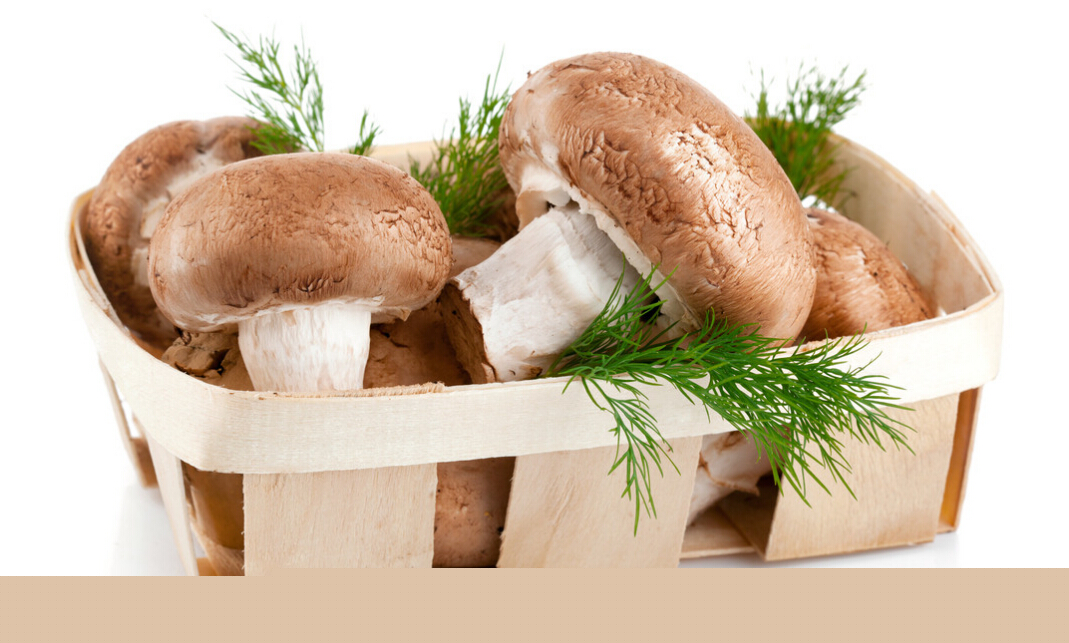 香菇的营养价值及功效  
 怀孕初期可以吃香菇吗