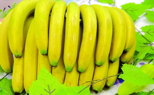 香蕉的功效与作用,香蕉的营养价值