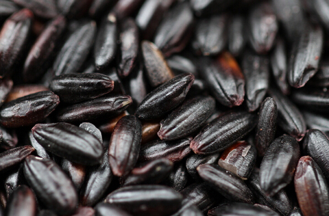 黑米的功效与作用及食用方法,黑米的营养价值