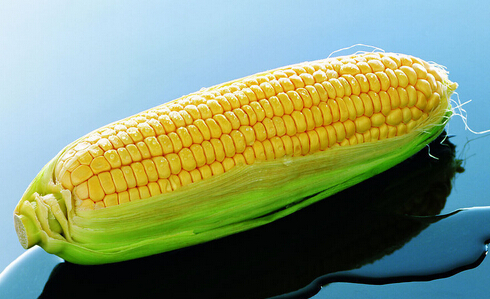 玉米的功效与作用