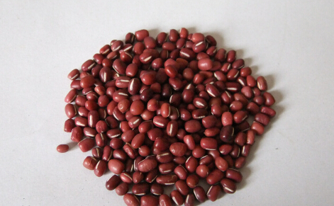 红小豆的功效与作用,红小豆的营养价值