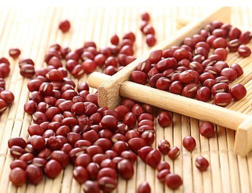 赤小豆的功效与作用——南国之豆