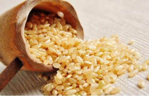 糙米的功效与作用,糙米怎么吃