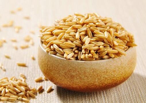 燕麦的功效——存在于5000年的食物