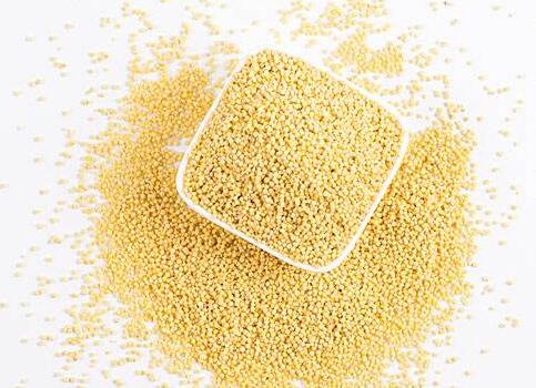 小米的营养价值及功效都有哪些？