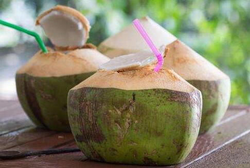 椰子功效与作用和营养价值