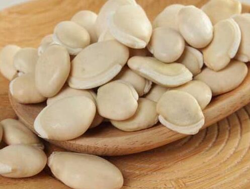 白扁豆都有哪些营养价值